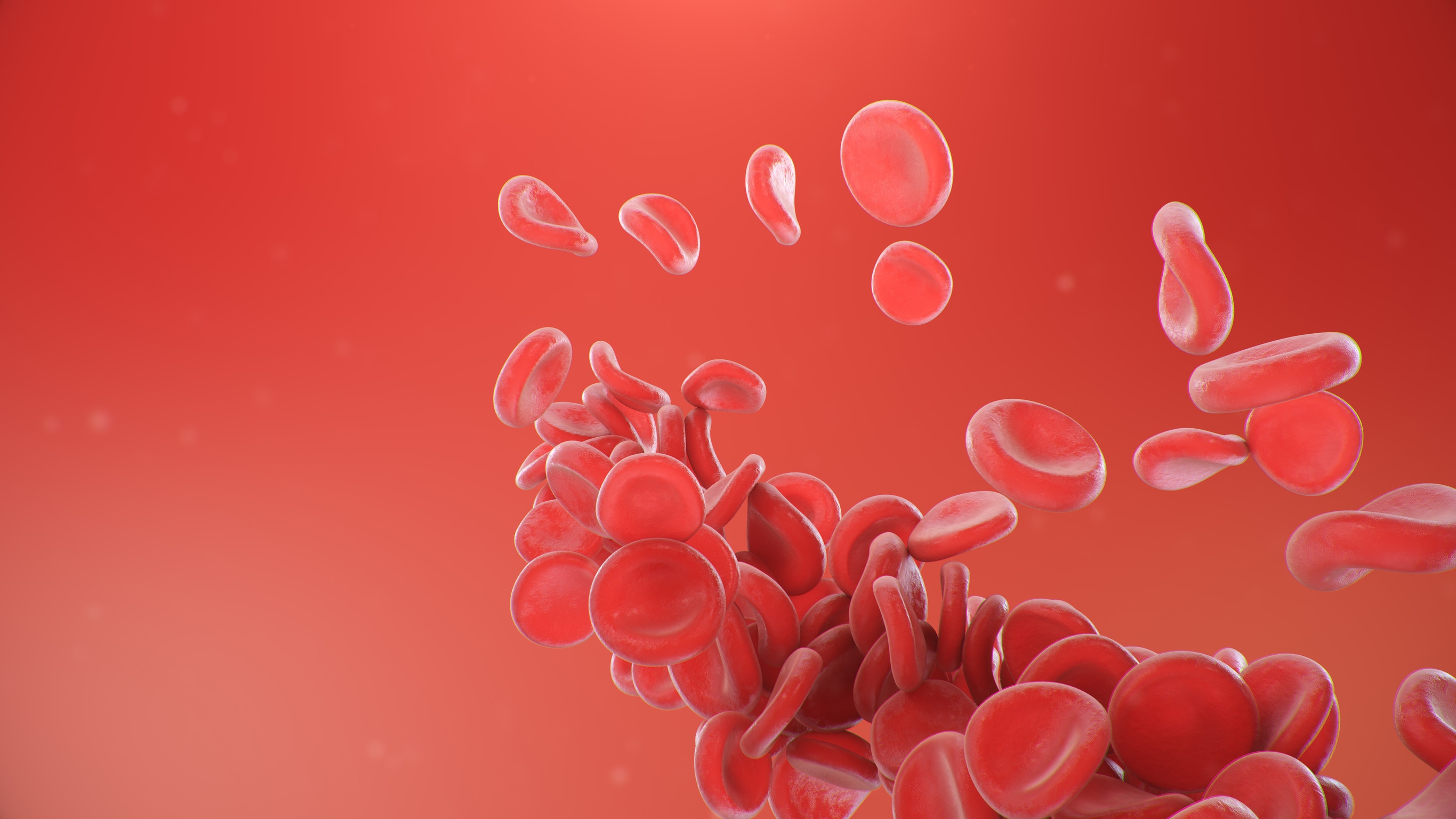 blood cells